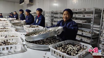 23省市2100余款產品齊聚全國菌博會，《中國食用菌產業年鑒》即將發布